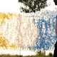 Illustration for article titled Weird Art Brings Plastic Shopping Bags Closer to Nature